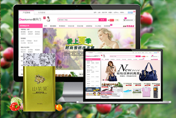 �����������̳�